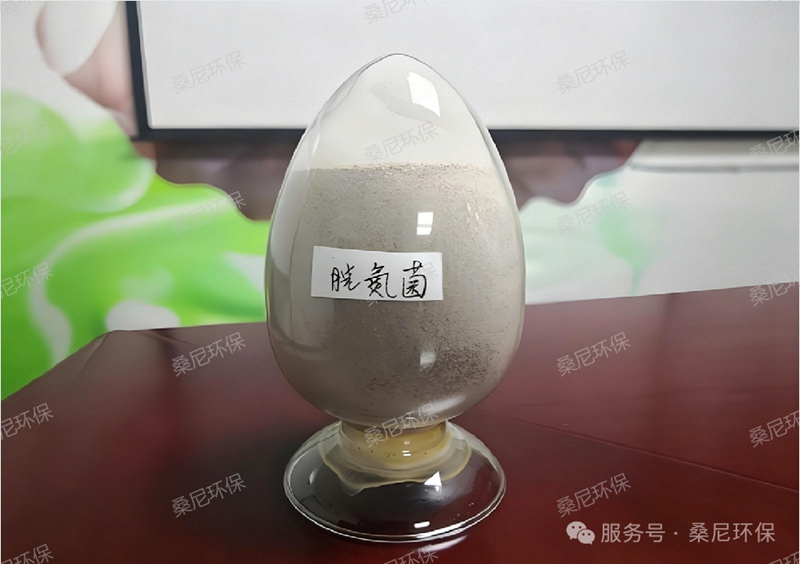 废水脱氮为什么这么难？微生物的“氮循环”秘密